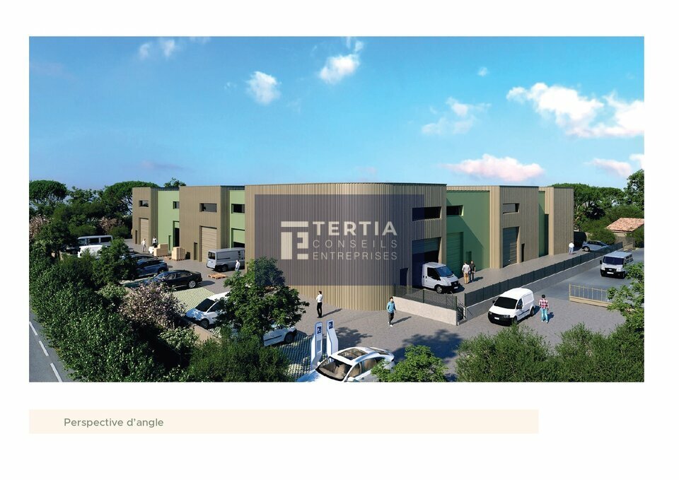 TERTIA CONSEILS VENTE-LOCAL D'ACTIVITE-PIOLENC-84