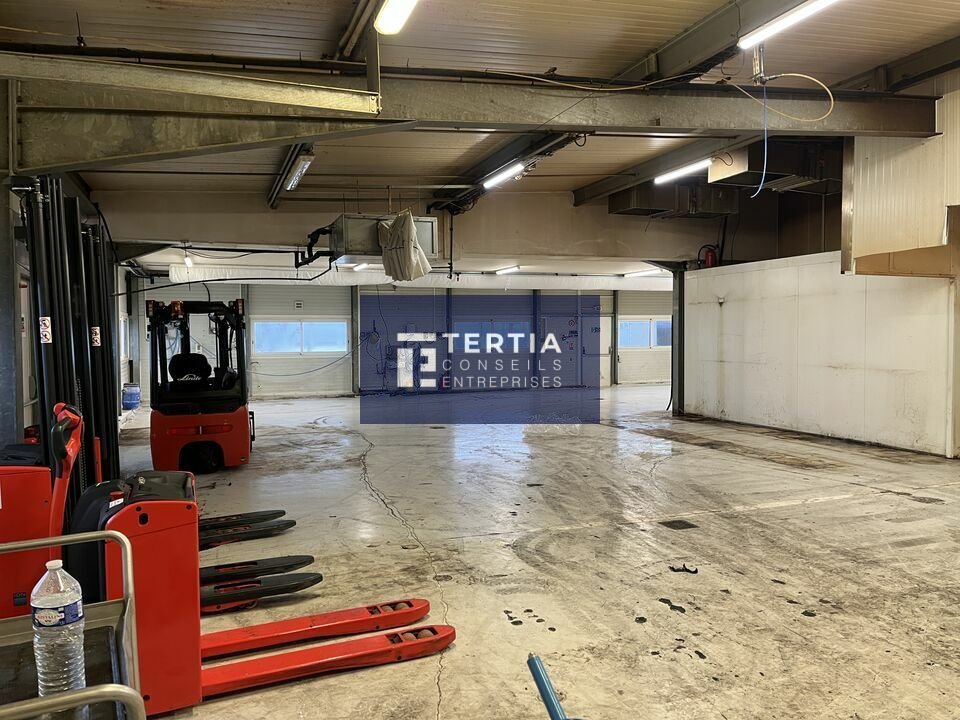 TERTIA CONSEILS LOCATION-LOCAL D'ACTIVITE-SETE-34