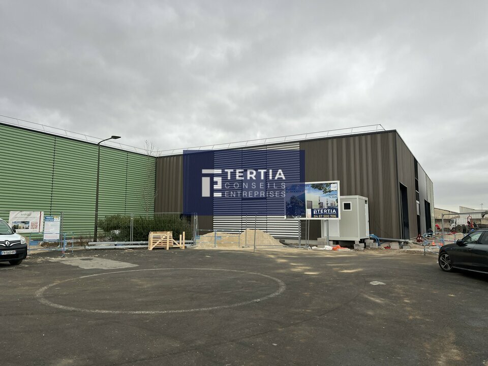 TERTIA CONSEILS LOCATION-LOCAL D'ACTIVITE-BESSAN-34