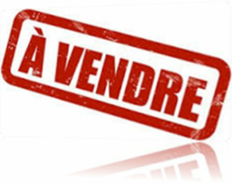 ARTHUR LOYD TOURS VENTE-LOCAL D'ACTIVITE-SORIGNY-37