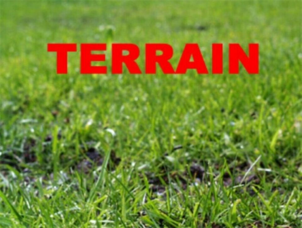 ARTHUR LOYD TOURS LOCATION-TERRAIN-JOUE_LES_TOURS-37