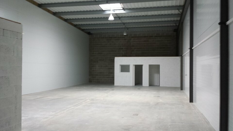 ARTHUR LOYD TOURS LOCATION-LOCAL D'ACTIVITE-BALLAN_MIRE-37