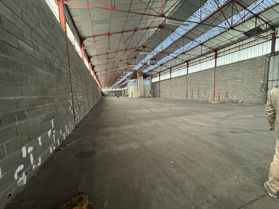 ARTHUR LOYD TOURS LOCATION-LOCAL D'ACTIVITE-SAINT_PIERRE_DES_CORPS-37