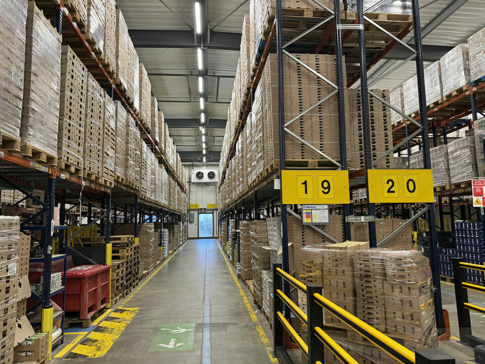 ARTHUR LOYD TOURS LOCATION-LOCAL D'ACTIVITE-CHAMBRAY-LES-TOURS-37