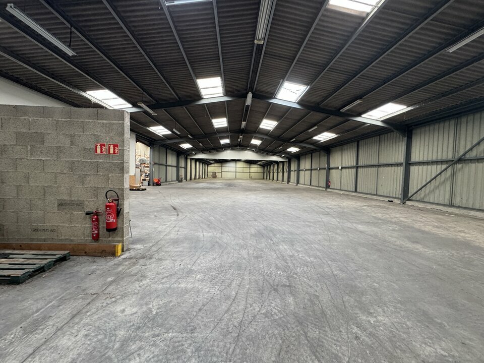 ARTHUR LOYD TOURS LOCATION-LOCAL D'ACTIVITE-SAINT_AVERTIN-37