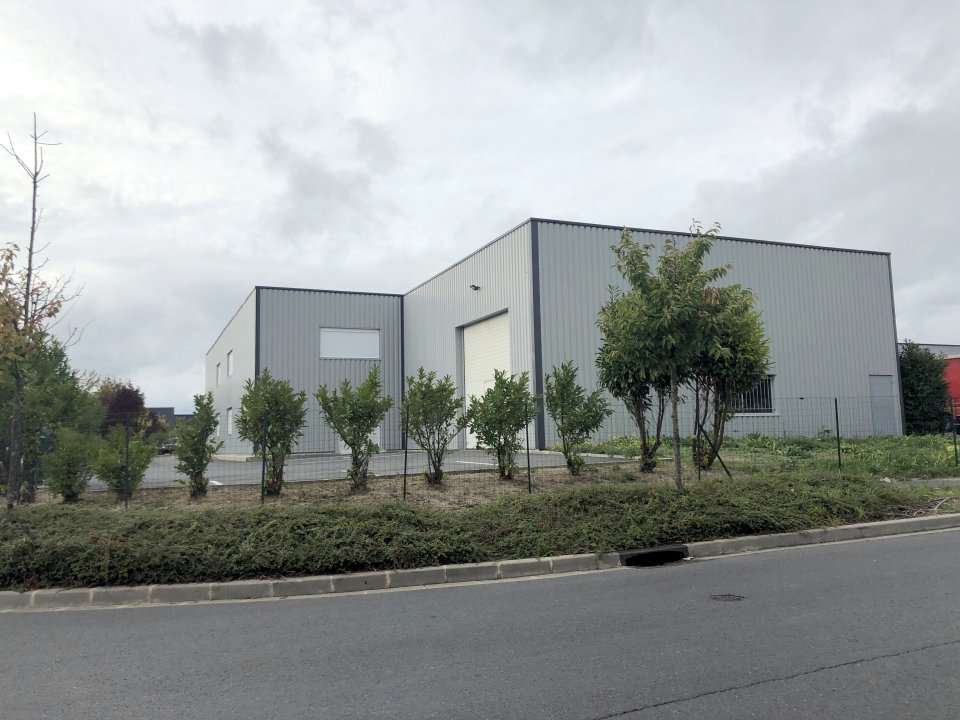 IMPACT CBRE LOCATION-LOCAL D'ACTIVITE-REIMS-51
