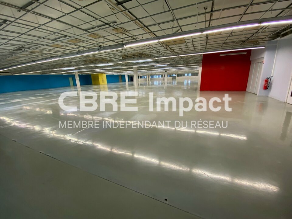 IMPACT CBRE LOCATION-LOCAL D'ACTIVITE-GENLIS-21