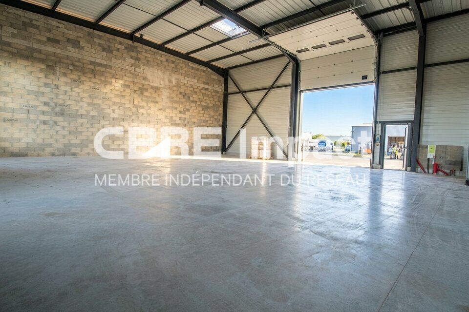 IMPACT CBRE LOCATION-LOCAL D'ACTIVITE-NUITS-SAINT-GEORGES-21