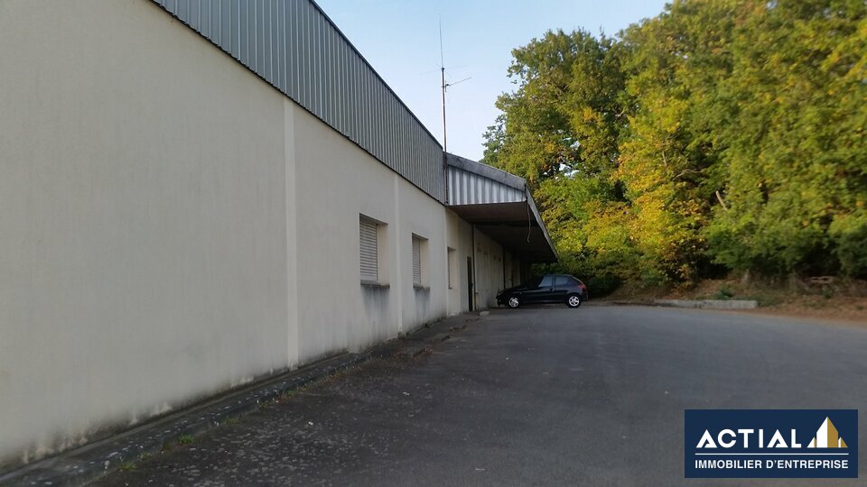 ACTIAL IMMOBILIER LOCATION-LOCAL D'ACTIVITE-NANTES-44