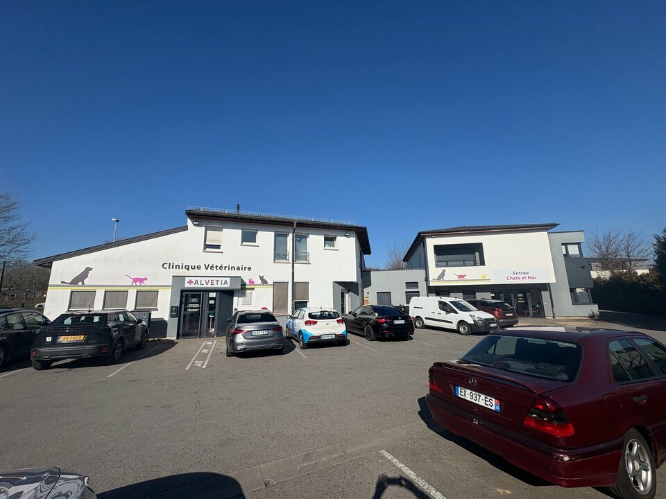 CEA Immo VENTE-IMMEUBLE-THIONVILLE-57