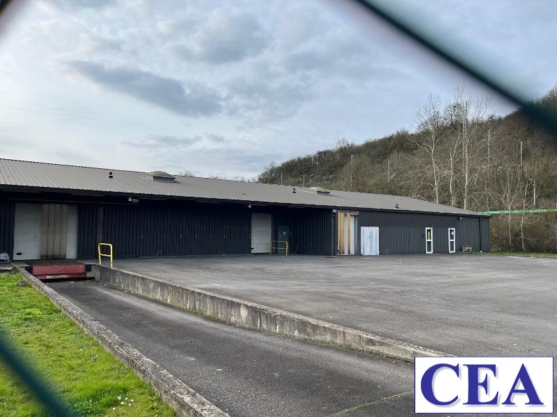 CEA Immo LOCATION-LOCAL D'ACTIVITE-HAYANGE_-57