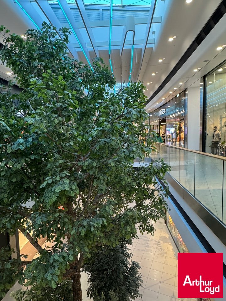 ARTHUR LOYD BIARRITZ VENTE-FONDS DE COMMERCE-SAINT_PIERRE_D'IRUBE-64