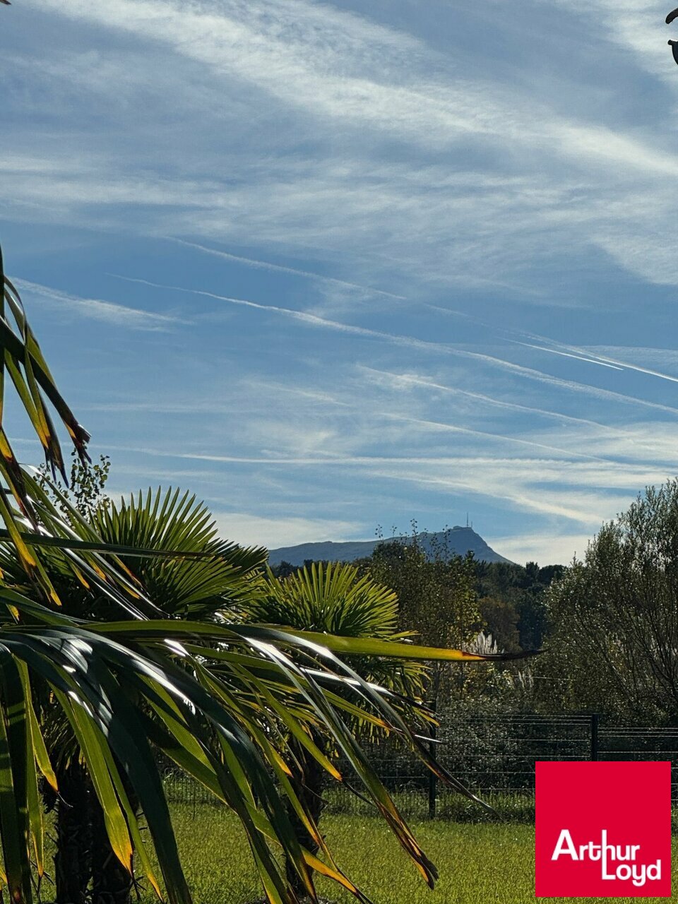 ARTHUR LOYD BIARRITZ VENTE-BUREAUX-SAINT_JEAN_DE_LUZ-64