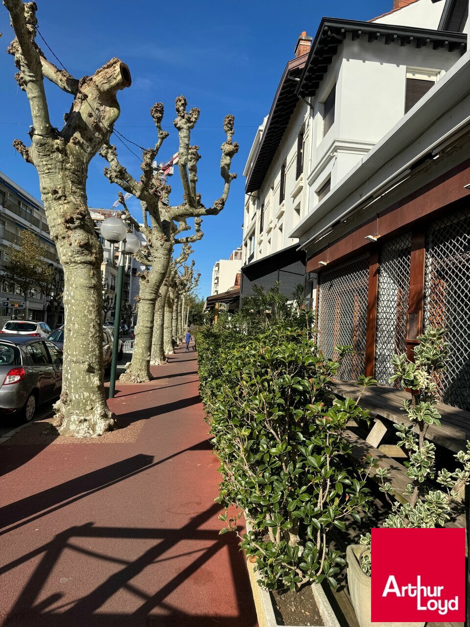ARTHUR LOYD BIARRITZ LOCATION-LOCAL COMMERCIAL-SAINT_JEAN_DE_LUZ-64