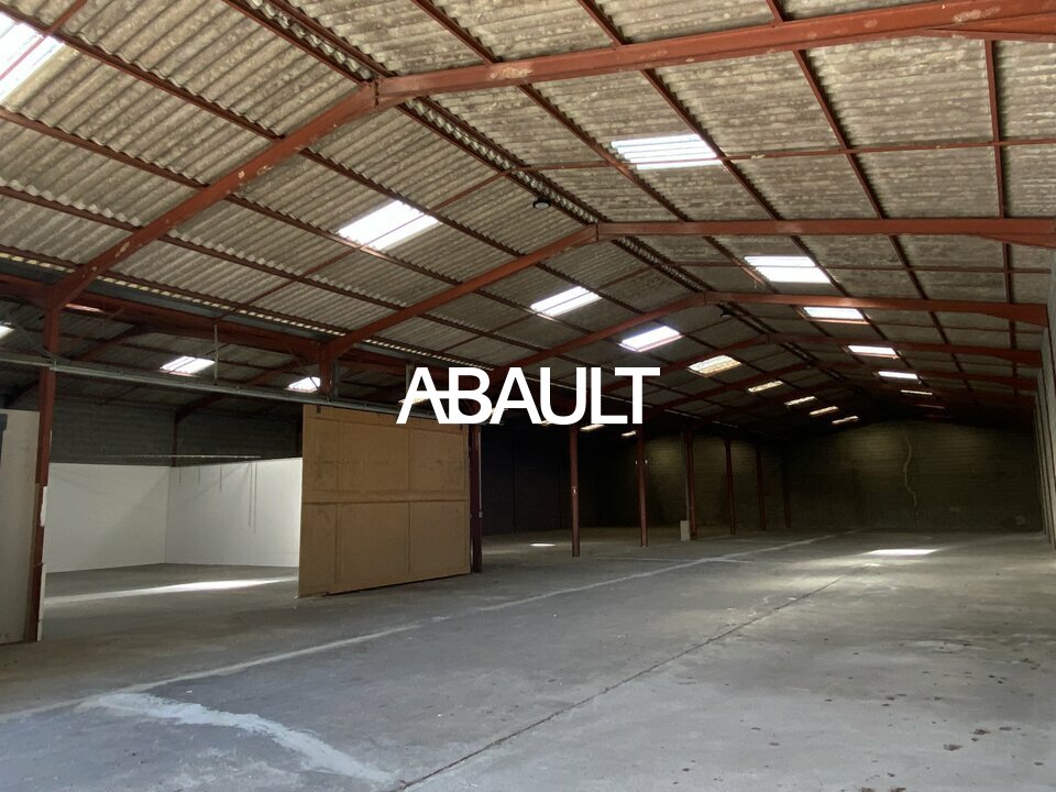ABAULT TOULOUSE LOCATION-LOCAL D'ACTIVITE-SAINT_ALBAN-31