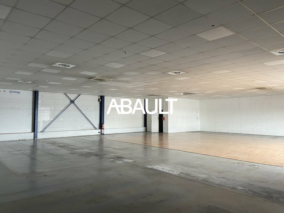 ABAULT TOULOUSE LOCATION-LOCAL COMMERCIAL-TOULOUSE-31