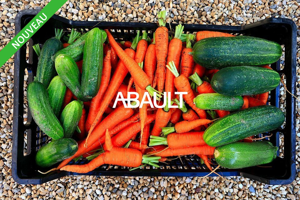 ABAULT TOULOUSE VENTE-FONDS DE COMMERCE-TOULOUSE-31