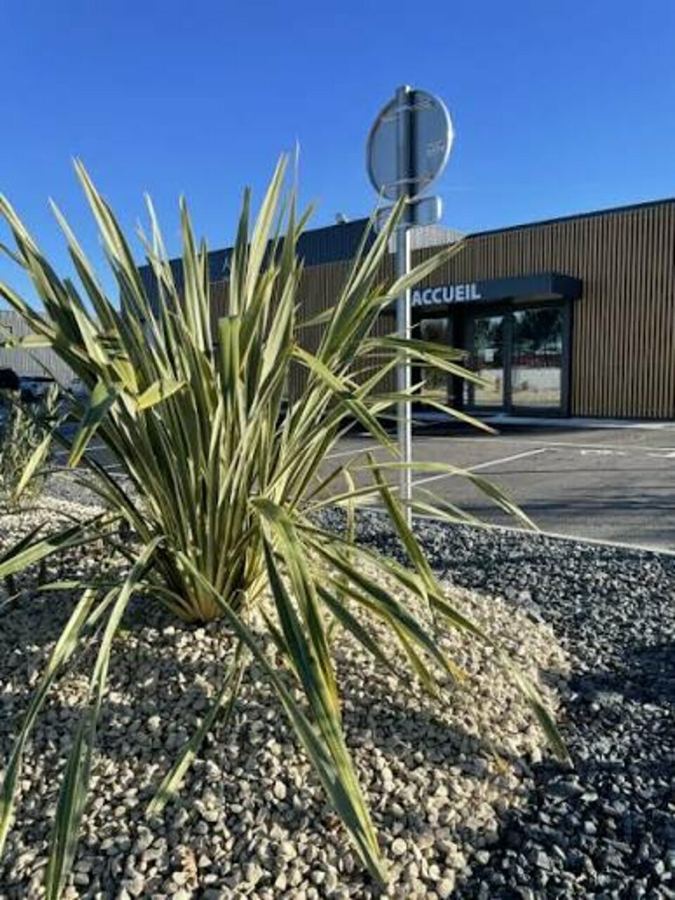 ABAULT BORDEAUX LOCATION-LOCAL D'ACTIVITE-AUDENGE-33