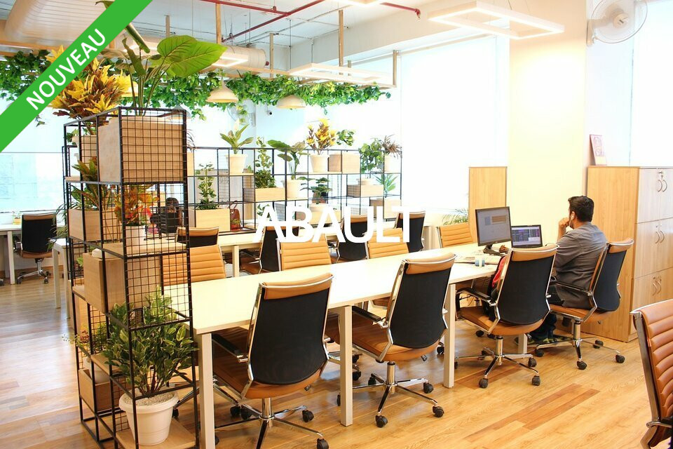 ABAULT MONTPELLIER VENTE-BUREAUX-LATTES-34