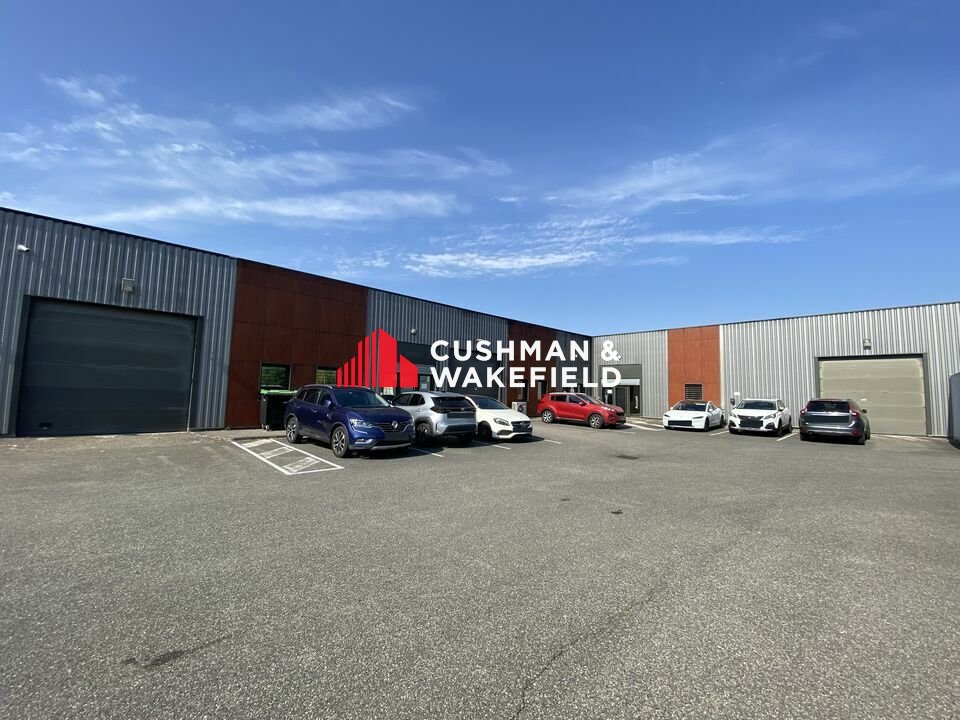 CUSHMAN WAKEFIELD TOULOUSE LOCATION-LOCAL D'ACTIVITE-MONTRABE-31
