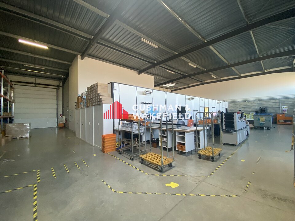 CUSHMAN WAKEFIELD TOULOUSE LOCATION-LOCAL D'ACTIVITE-TOULOUSE-31