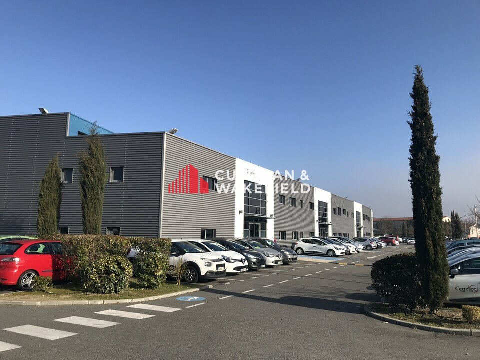 CUSHMAN WAKEFIELD TOULOUSE LOCATION-LOCAL D'ACTIVITE-TOULOUSE-31
