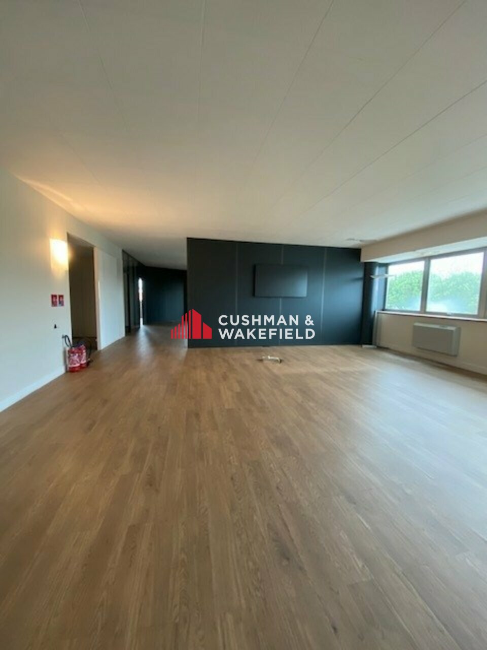 CUSHMAN WAKEFIELD TOULOUSE LOCATION-BUREAUX-BALMA-31
