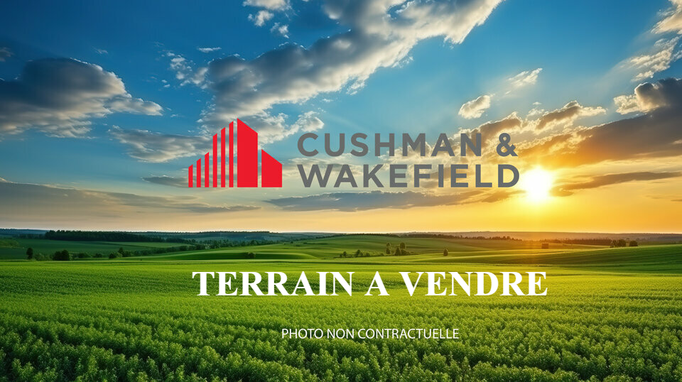CUSHMAN WAKEFIELD TOULOUSE VENTE-TERRAIN-SAINT_SULPICE-81