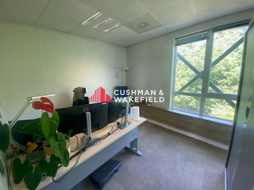 CUSHMAN WAKEFIELD TOULOUSE LOCATION-BUREAUX-TOULOUSE-31