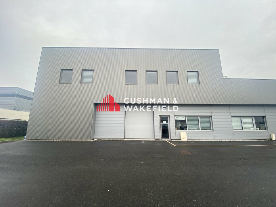 CUSHMAN WAKEFIELD TOULOUSE LOCATION-LOCAL D'ACTIVITE-ESCALQUENS_-31