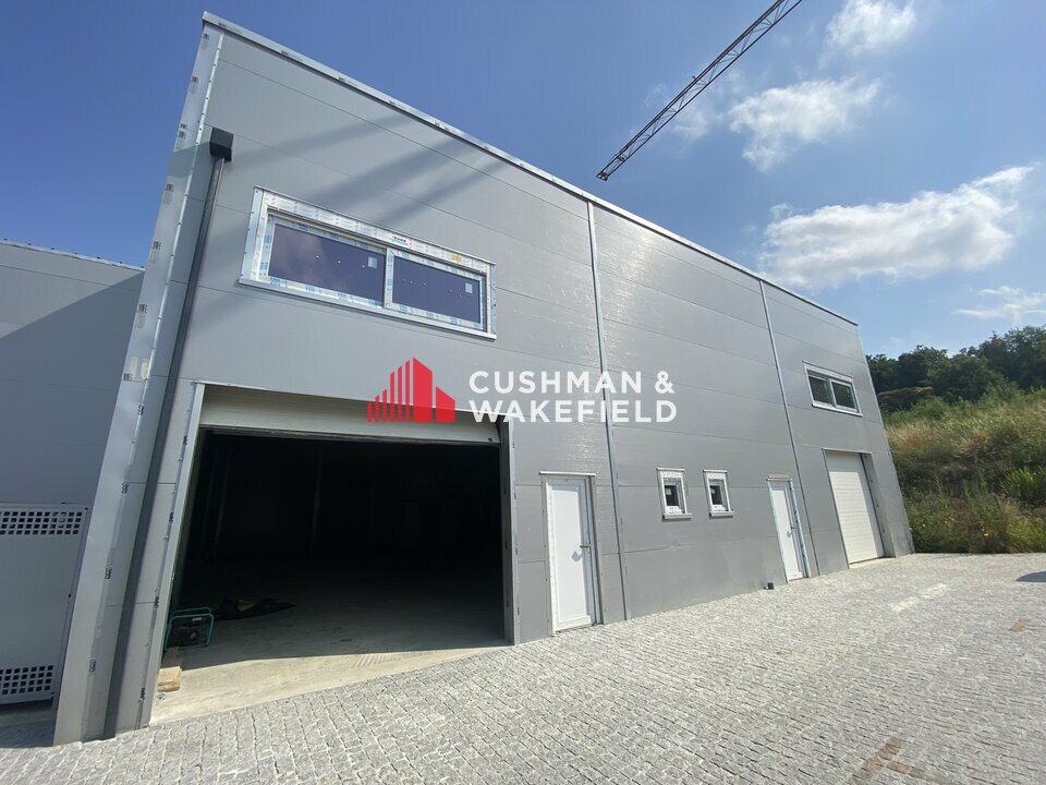 CUSHMAN WAKEFIELD TOULOUSE LOCATION-LOCAL D'ACTIVITE-GRISOLLES-82
