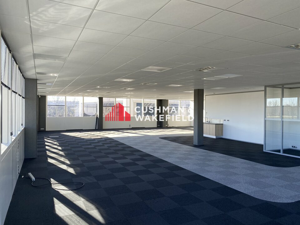 CUSHMAN WAKEFIELD TOULOUSE LOCATION-BUREAUX-LABEGE-31