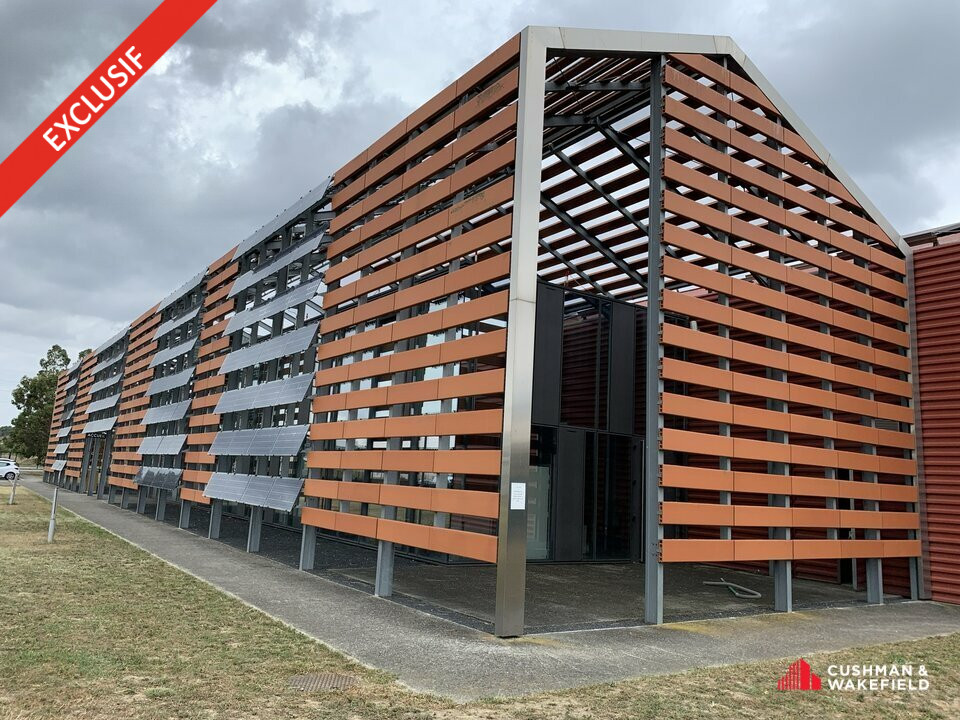 CUSHMAN WAKEFIELD TOULOUSE LOCATION-LOCAL D'ACTIVITE-TOULOUSE-31