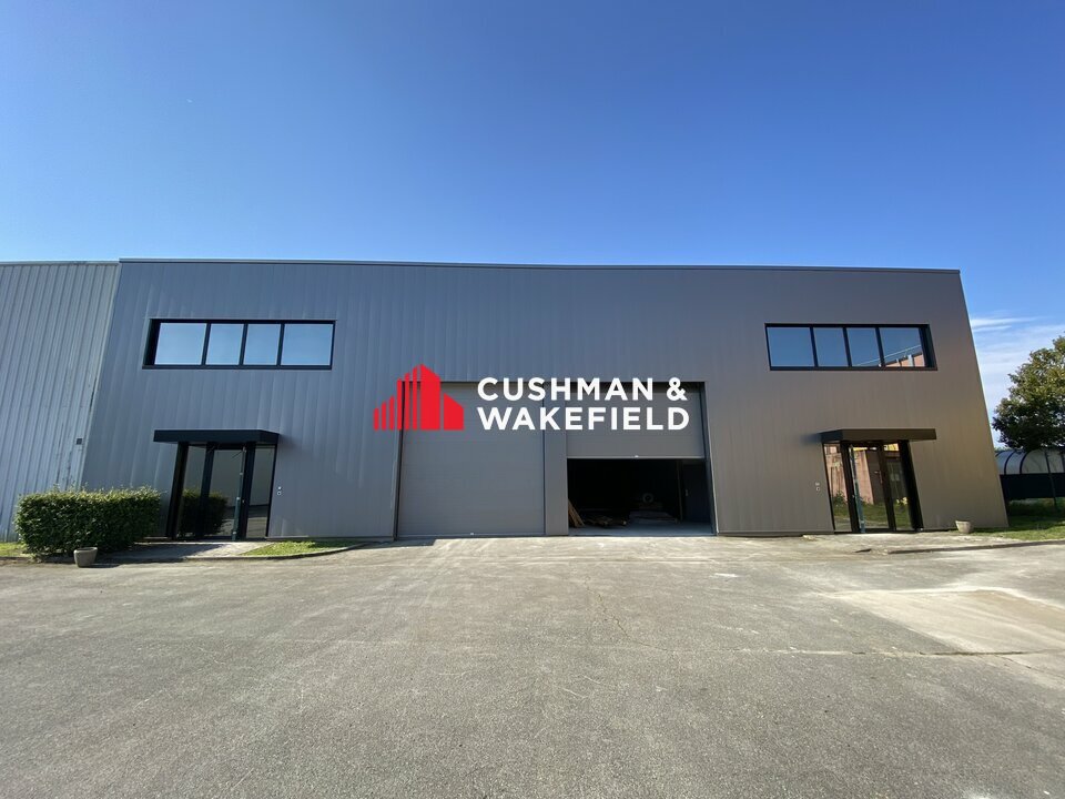 CUSHMAN WAKEFIELD TOULOUSE LOCATION-LOCAL D'ACTIVITE-TOULOUSE-31