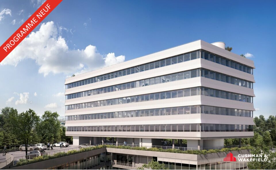 CUSHMAN WAKEFIELD TOULOUSE VENTE-BUREAUX-TOULOUSE-31