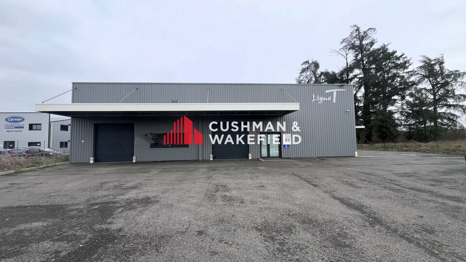 CUSHMAN WAKEFIELD TOULOUSE LOCATION-LOCAL D'ACTIVITE-CAMPSAS-82