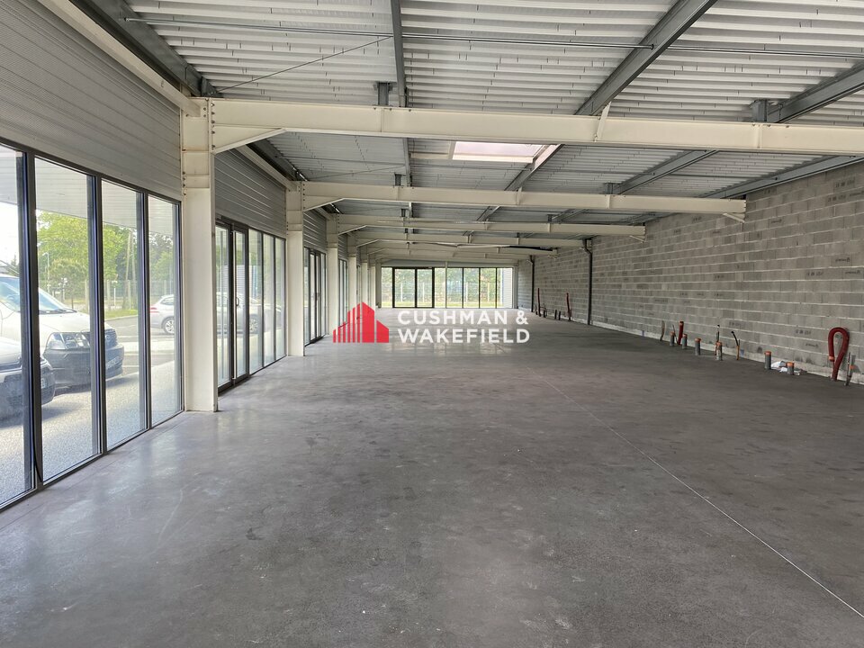CUSHMAN WAKEFIELD TOULOUSE LOCATION-LOCAL D'ACTIVITE-COLOMIERS-31