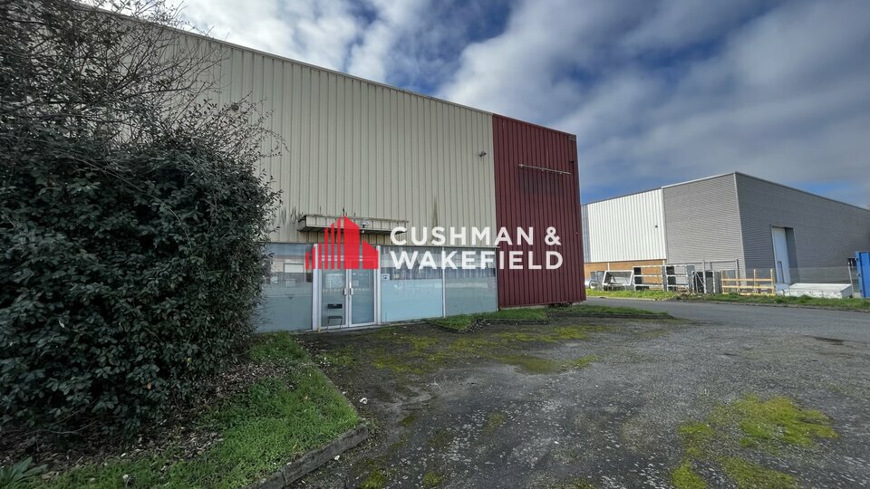 CUSHMAN WAKEFIELD TOULOUSE LOCATION-LOCAL D'ACTIVITE-TOULOUSE-31