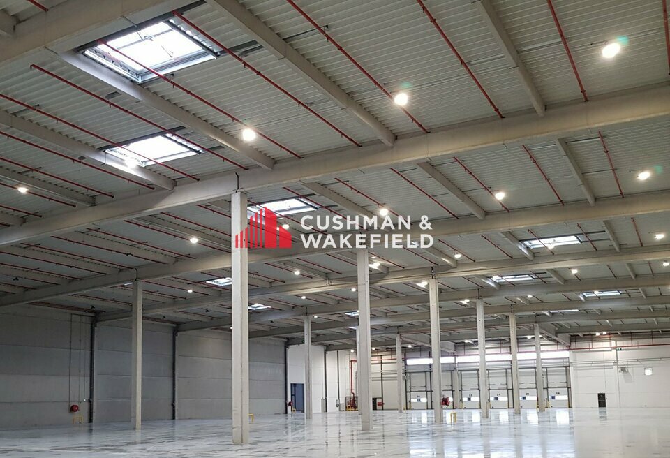 CUSHMAN WAKEFIELD TOULOUSE LOCATION-ENTREPOT-MONTBARTIER-82