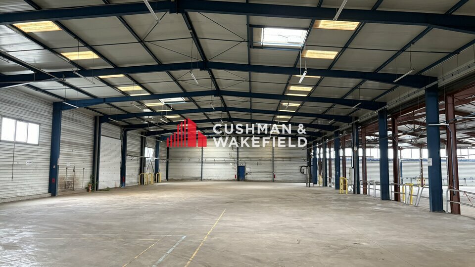 CUSHMAN WAKEFIELD TOULOUSE LOCATION-LOCAL D'ACTIVITE-TOULOUSE-31