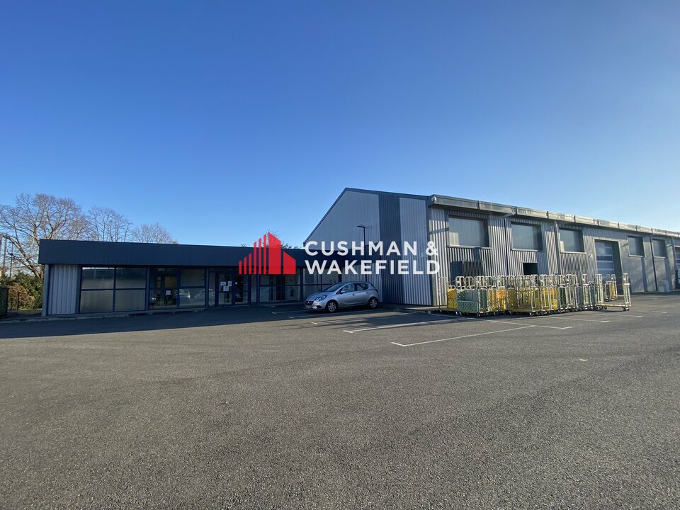 CUSHMAN WAKEFIELD TOULOUSE LOCATION-LOCAL D'ACTIVITE-TOULOUSE_-31