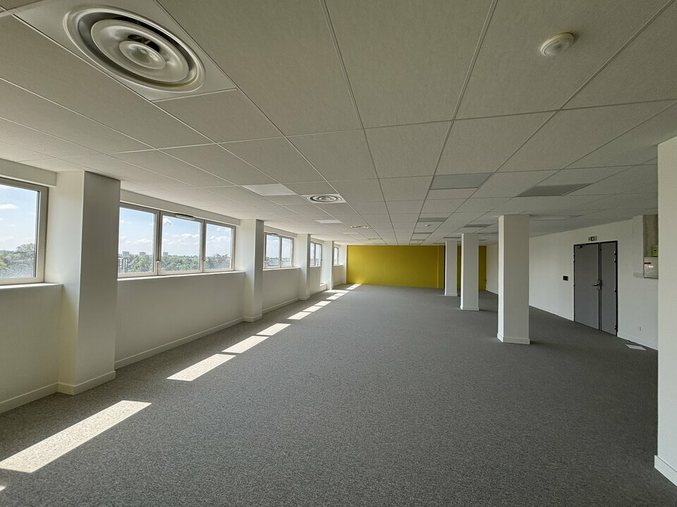 CUSHMAN WAKEFIELD TOULOUSE LOCATION-BUREAUX-TOULOUSE-31