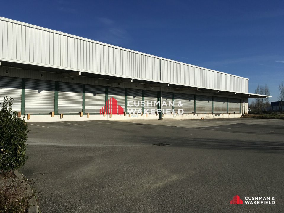 CUSHMAN WAKEFIELD TOULOUSE LOCATION-ENTREPOT-BRUGUIERES-31