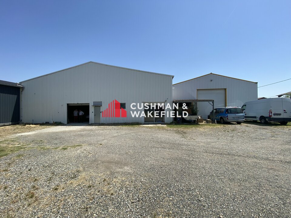 CUSHMAN WAKEFIELD TOULOUSE VENTE-LOCAL D'ACTIVITE-SAINT-JORY-31
