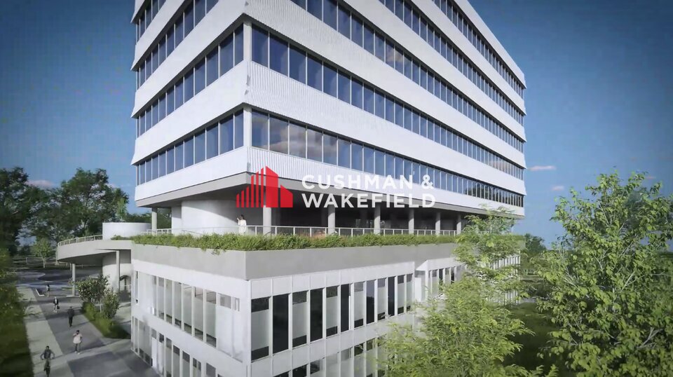 CUSHMAN WAKEFIELD TOULOUSE LOCATION-BUREAUX-TOULOUSE-31