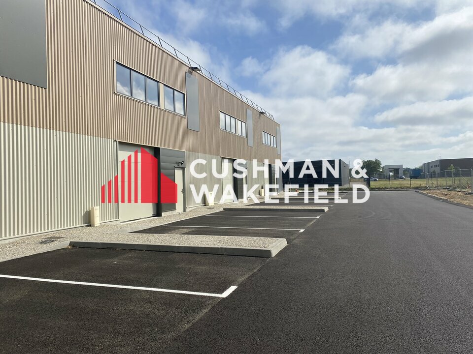CUSHMAN WAKEFIELD TOULOUSE VENTE-LOCAL D'ACTIVITE-MONTAUBAN-82