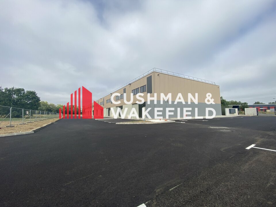 CUSHMAN WAKEFIELD TOULOUSE VENTE-LOCAL D'ACTIVITE-MONTAUBAN-82