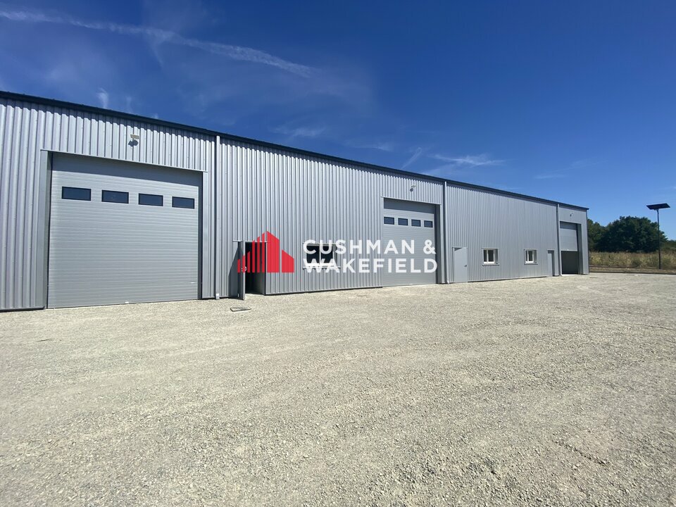 CUSHMAN WAKEFIELD TOULOUSE LOCATION-LOCAL D'ACTIVITE-GRISOLLES-82