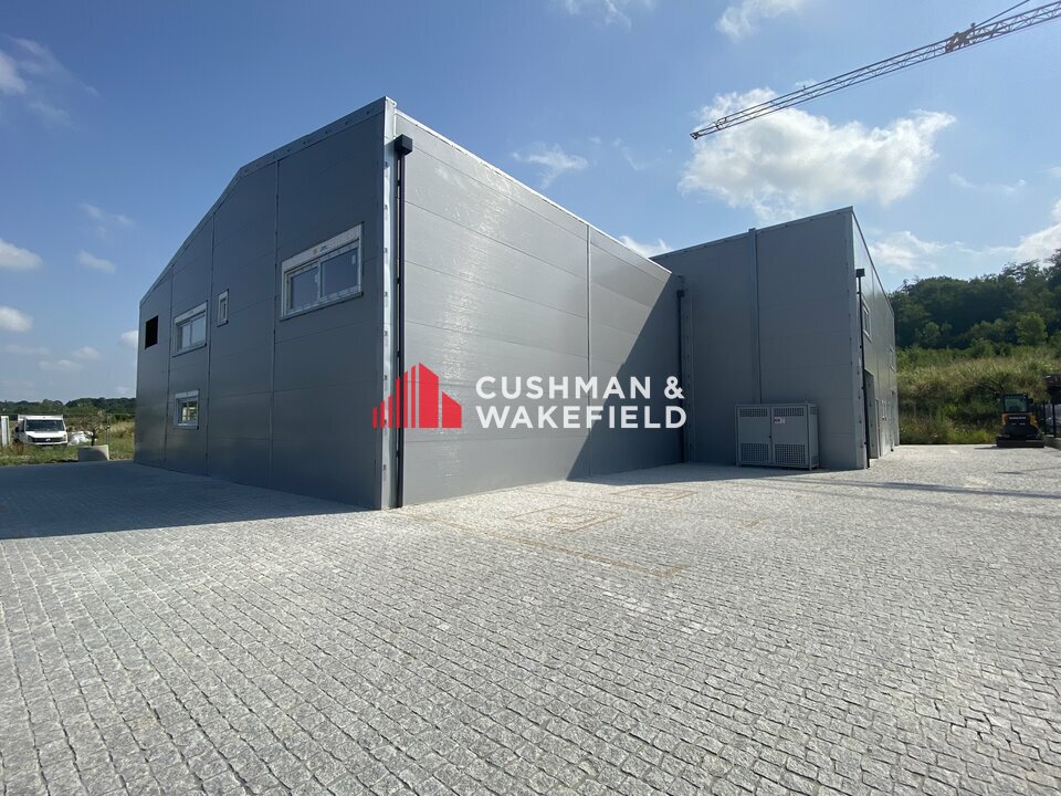CUSHMAN WAKEFIELD TOULOUSE VENTE-LOCAL D'ACTIVITE-GRISOLLES-82