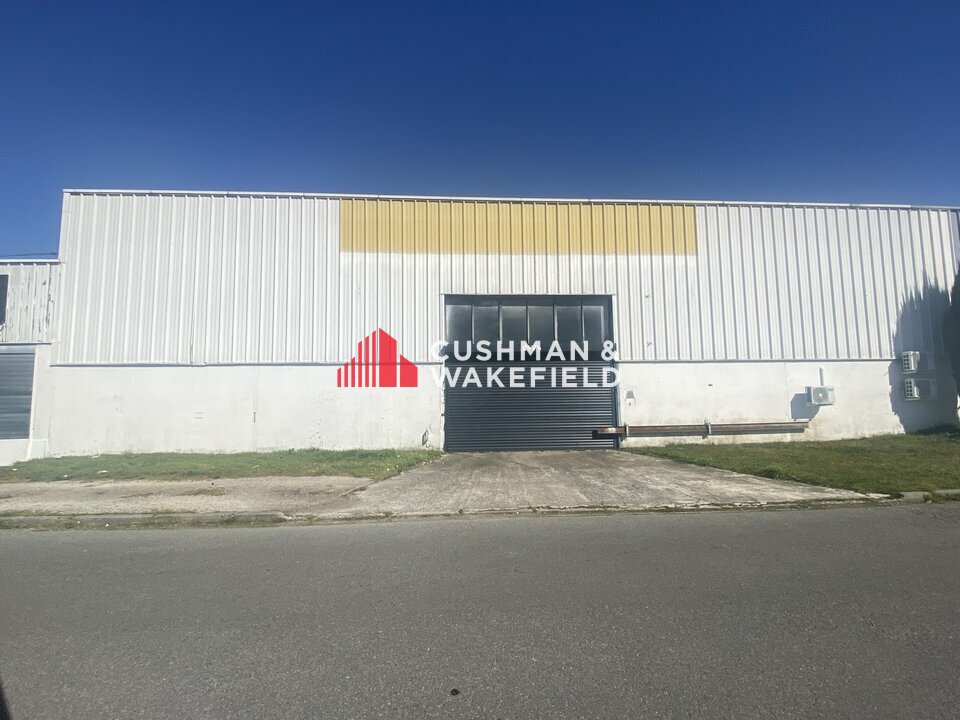 CUSHMAN WAKEFIELD TOULOUSE LOCATION-LOCAL D'ACTIVITE-LAUNAGUET-31